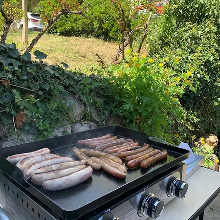 Apartment Location Saisonniere Dans Un Cadre Calme